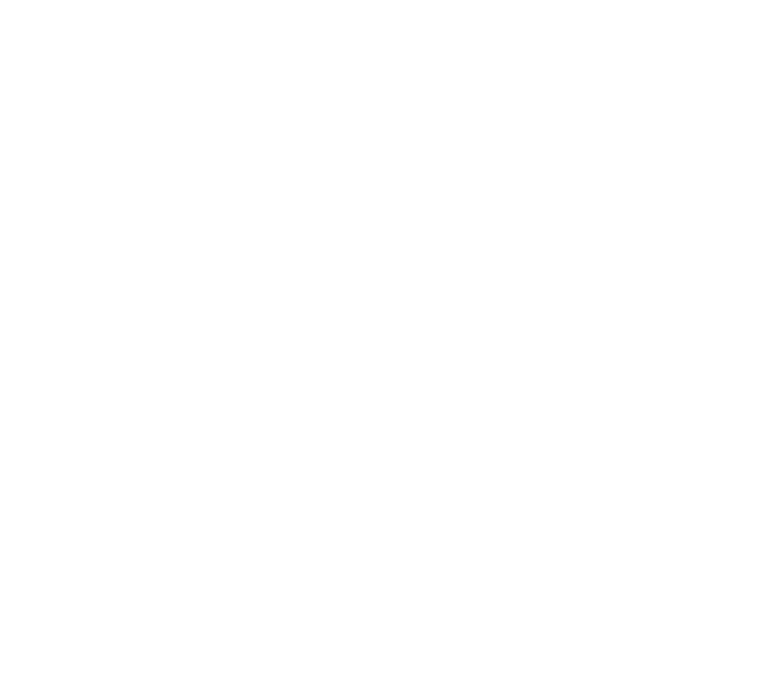 EMIRARTS